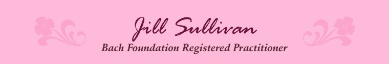 Jill Sullivan - Bach Foundation Registered Practitioner
